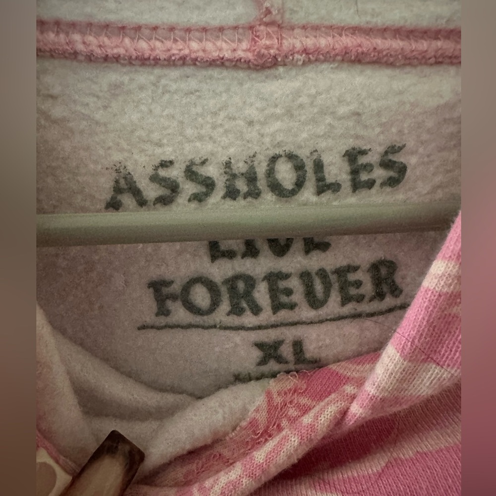 Pink Graphic Hoodie - A$$holes Live Forever - Picture 3 of 4
